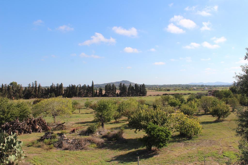 Es Lladoner Villa Porreres Εξωτερικό φωτογραφία